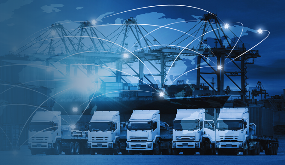 Safe, Timely, and Professional Delivery